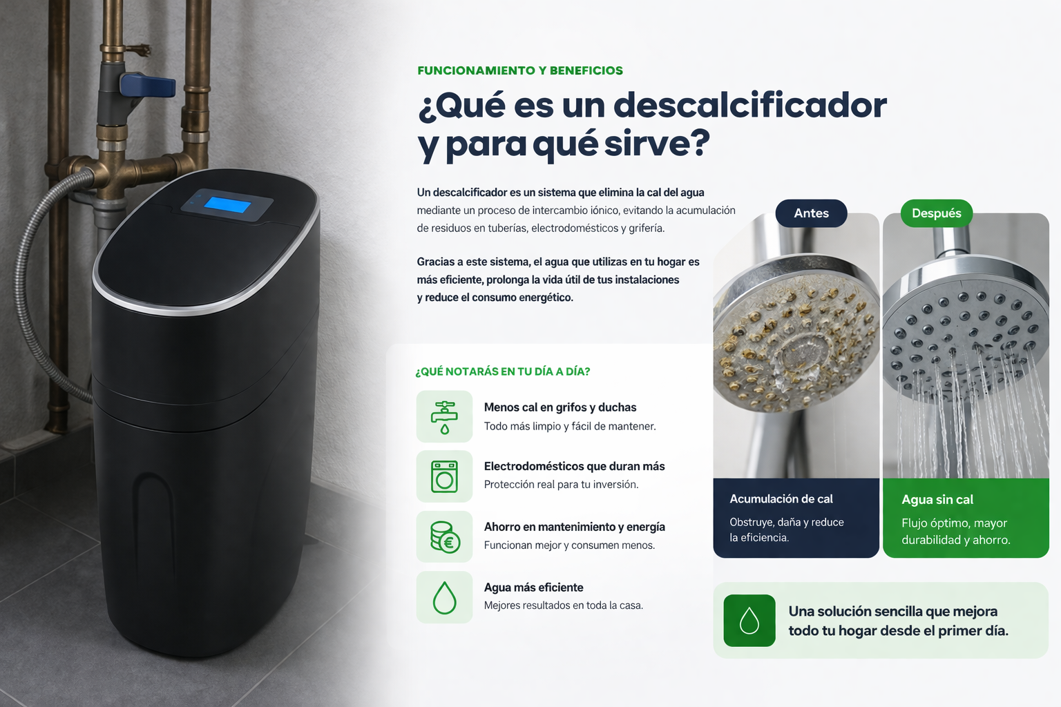 seccion descalcificador